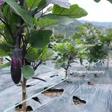 3.9 Acres Agricultural Land @ Kuala Kubu Baru for Sale