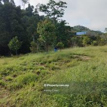 Pahang, Kuala Lipis  9.1 acres Agriculture Land
