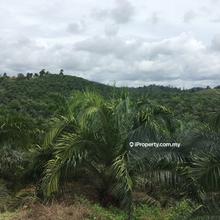 Agriculture land for Sale