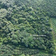 9.8 acres Lanchang Agriculture Land for Sale