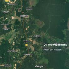 Sewa Tanah Pertanian 320 ekar, Nenasi Pekan Pahang