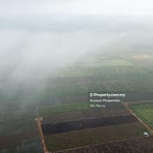 Agriculture land for Sale