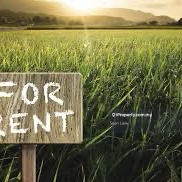 Kelantan Lojing Highlands Agriculture Land For Rent