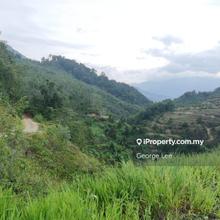 Bentong, Pahang - lfs068 Agriculture Land