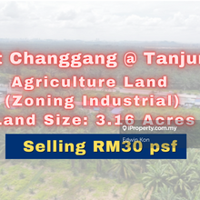 Bukit Changgang Tanjung 12 Agriculture land (Zoning Industrial)
