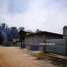 Agriculture land for Sale