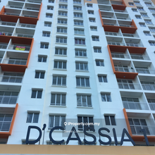 D Cassia for sale 