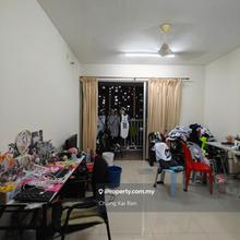 Actual Photos, Ready For Viewing