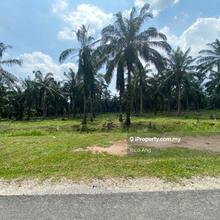 Agriculture land for Sale