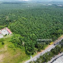 Residential Land For Sale
