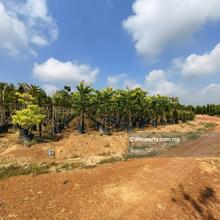 Yong peng agriculture land for sale