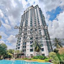 Molek Pine Apartment For Auction 