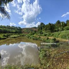 6 Acres Freehold Durian Farm Next to River Kechau Kuala Lipis