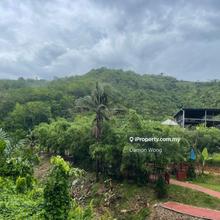 Agriculture land for Sale