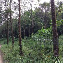 Pahang Bentong Karak Agriculture Land for Sale