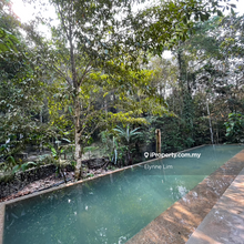 Agriculture Land, Homestay Business, River & Hill View