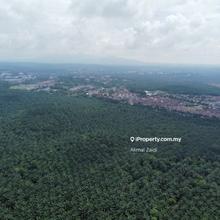 Mix Development Land For Sale 