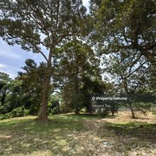 7 Acres Freehold Old Tree Durian Farm Kampung Binjai Kuala Lipis