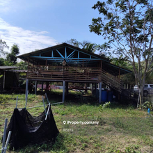 Tanah Kebun 4 Ekar Pokok buahan Tersedia