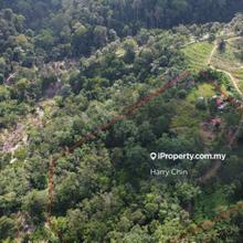 9.617 acres Freehold Organic Agricultural land for Sale