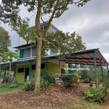 Farm stay at Batu 4 Kg Setia Karak Pahang