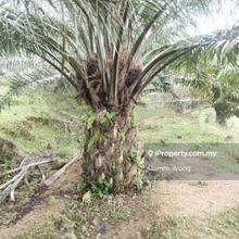 Largest Land and Majority Flat Agriculture Land for Sale