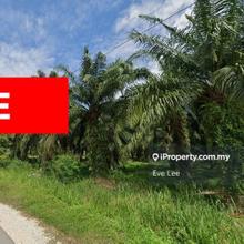 First Grade Land for Sale Permatang Tinggi Penang
