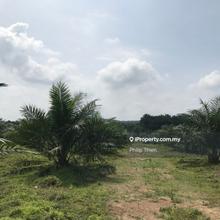 1.149 Acre Agriculture Land 