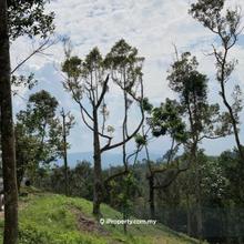 Agriculture land for Sale