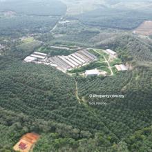 Lendu, Alor Gajah 10acres Freehold Palm Oil Agriculture Land For Sale