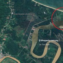 Agriculture land for Sale