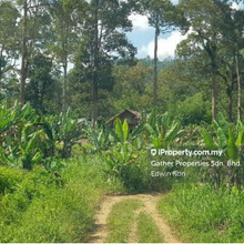 Agriculture land for Sale