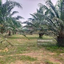 Siputeh land for sale 