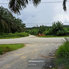 For Sale Agriculture Land