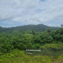 Kelantan Gua Musang Galas Batu Papan freehold 840 acres empty land 