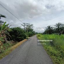Kukup Agricultural Land For Sale