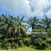 Telok Panglima garang 5 acres agri land freehold cheapest for sale 