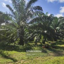 Freehold-title Industrial Lands at Beranang  For Sale