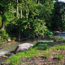Land by the river