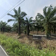 Jalan Tok Muda Agriculture Land Zoning Residential Kapar Klang