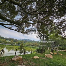 Hulu Langat ,Sungai Makau Resort & Agriculture Land For Sale