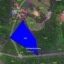 2.49 Acres Mixed Zone Agricultural Land For Sale @ Sg  Moyan, Matang