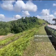 Sabak Bernam Agricultural Land For Sale