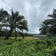 Banting Agricultural Land for Sale