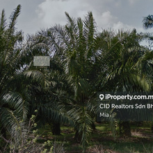 Industrial land for Sale