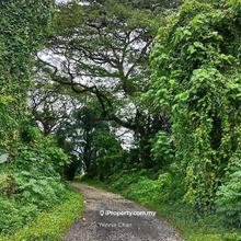 Ipoh Town 11 acres Resident lands For Sale