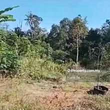 Bandar Baharu Agriculture Land for Sale