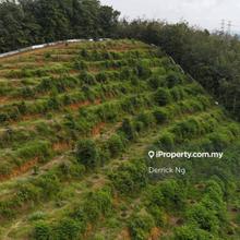 Gurun Durian Farm For Sale