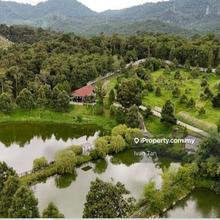 Resort with Durian Farm For Sale at Sungai Makau,Hulu Langat