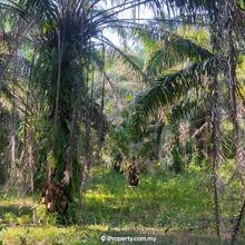 Freehold Agricultural Land Facing main road for sale